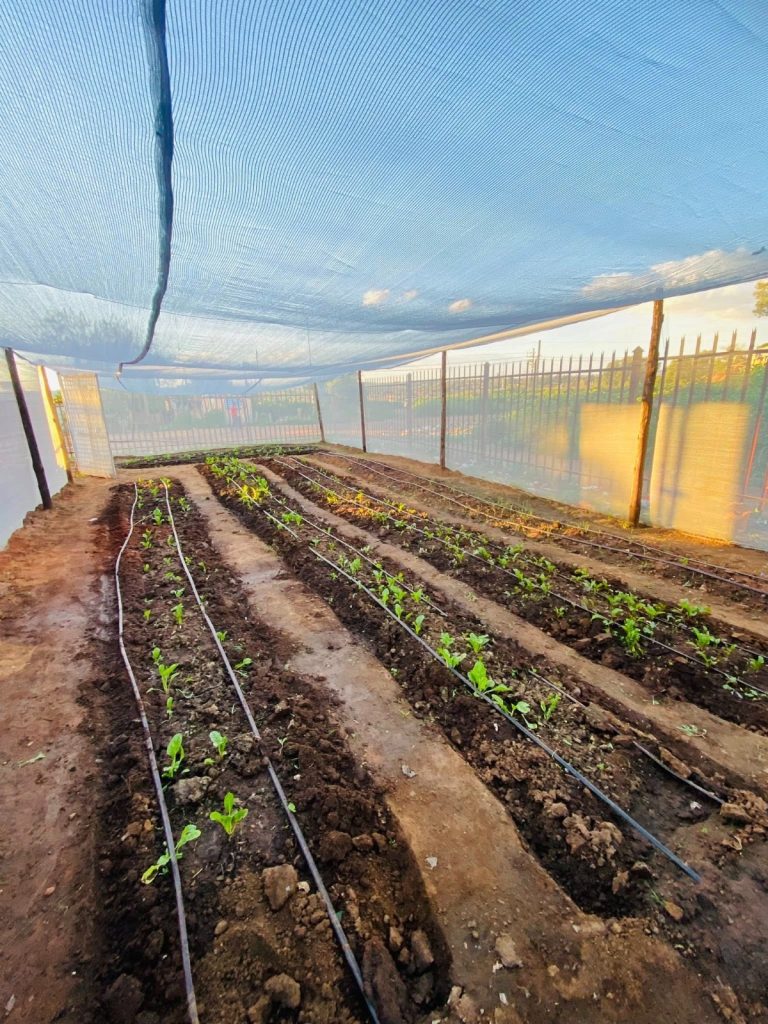 14d872ca 65f5 4b9e 9639 71a2504651d3