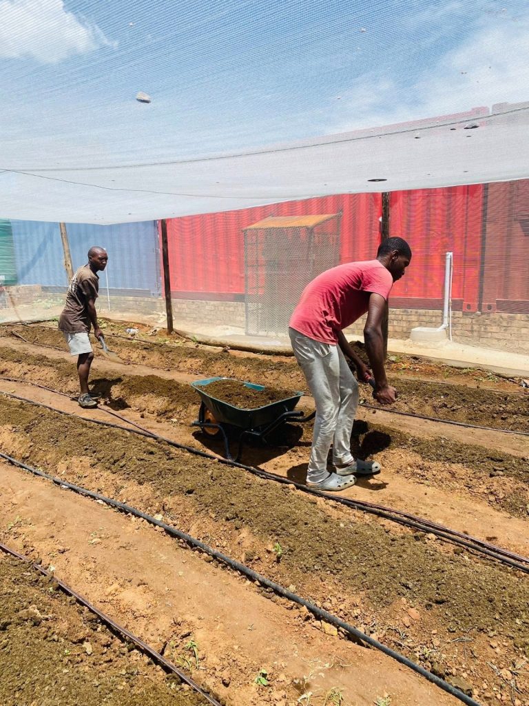 4bafdb67 8667 4844 8e1e 06b9feafe277