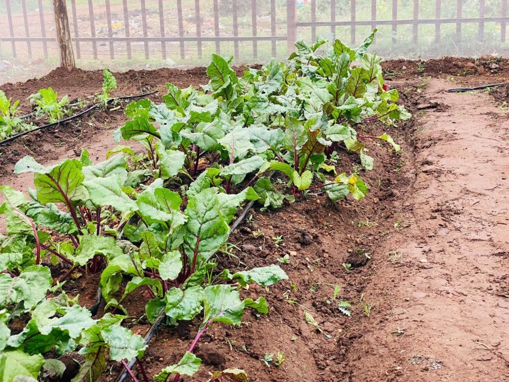 7ce8322b df9e 408f b07c 297e60c76f13