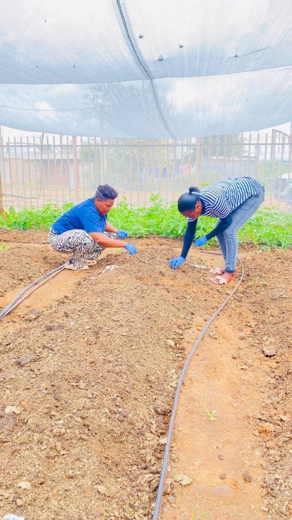 b2b0c77e d4aa 4d6c a2e4 627c8a70b050